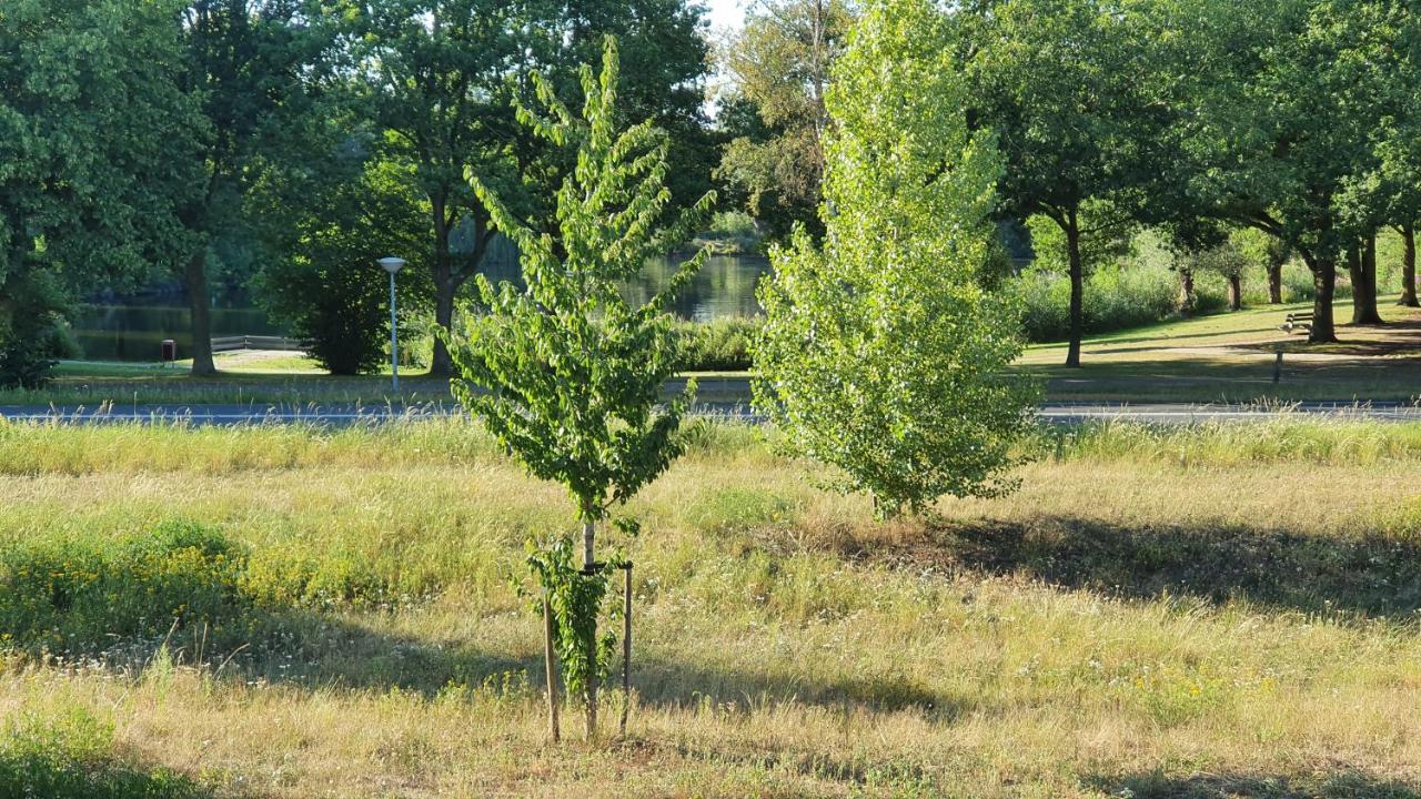 Logies Bij Wandelpad Te Holten Extérieur photo